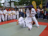 Magnus wirft Dirk mit Tai-otoshi.