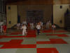 Nur fliegen ist sch�ner...