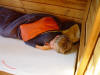 Dieses Jahr lagen alle lange im Bett, ...
