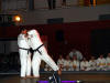 Michaelo und Dirk zeigen W�rfe zuerst in Zeitlupe,...